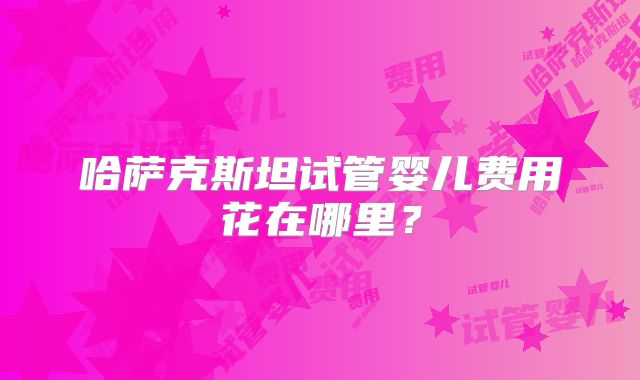 哈萨克斯坦试管婴儿费用花在哪里?