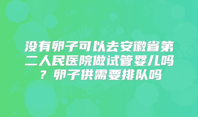 没有卵子可以去安徽省第二人民医院做试管婴儿吗？卵子供需要排队吗