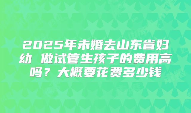 2025年未婚去山东省妇幼 做试管生孩子的费用高吗?大概要花费多少钱