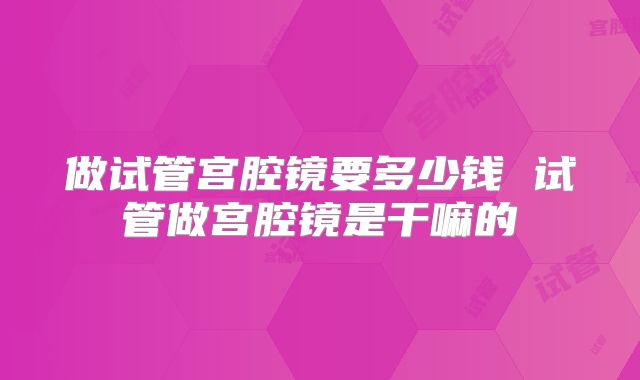 做试管宫腔镜要多少钱 试管做宫腔镜是干嘛的