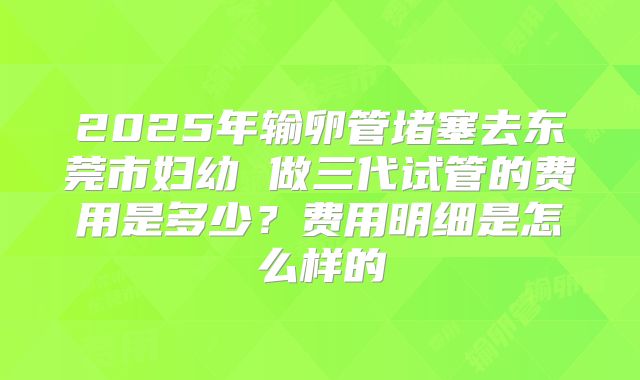 2025年输卵管堵塞去东莞市妇幼 做三代试管的费用是多少？费用明细是怎么样的