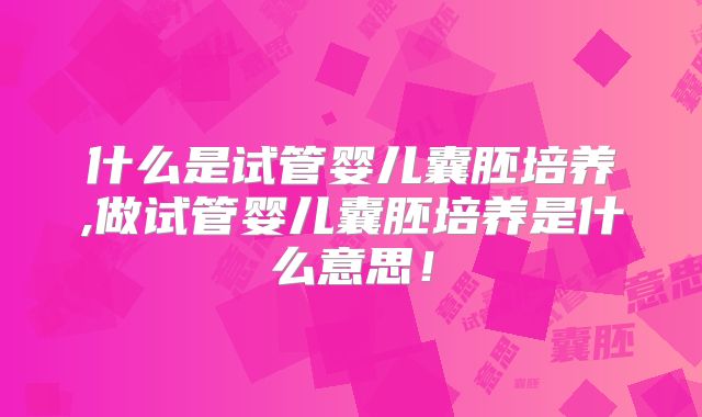 什么是试管婴儿囊胚培养,做试管婴儿囊胚培养是什么意思!
