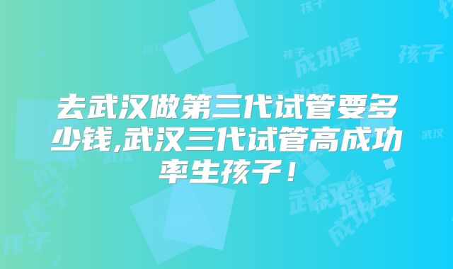 去武汉做第三代试管要多少钱,武汉三代试管高成功率生孩子!