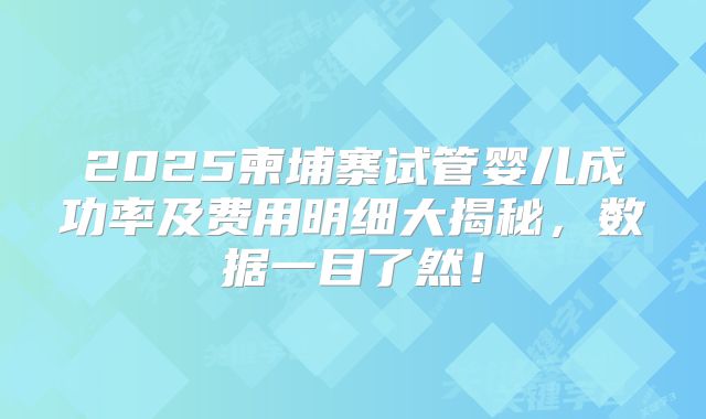 2025柬埔寨试管婴儿成功率及费用明细大揭秘,数据一目了然!