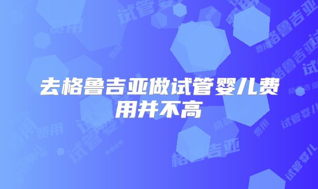 去格鲁吉亚做试管婴儿费用并不高