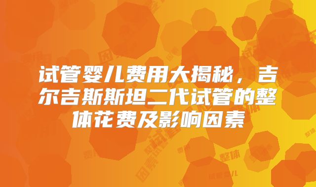 试管婴儿费用大揭秘，吉尔吉斯斯坦二代试管的整体花费及影响因素