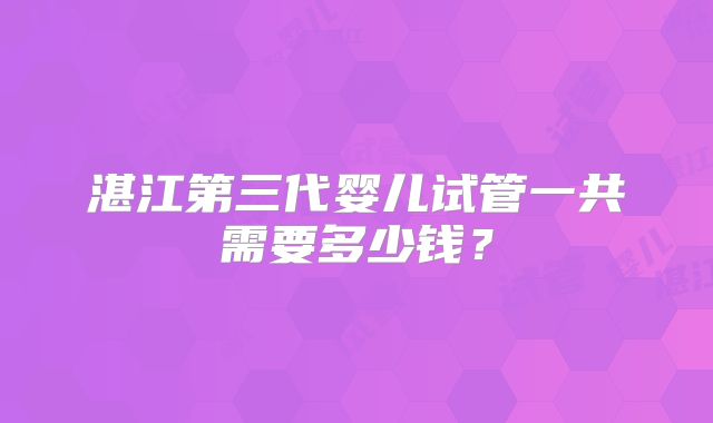 湛江第三代婴儿试管一共需要多少钱？