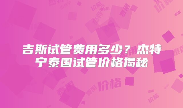 吉斯试管费用多少？杰特宁泰国试管价格揭秘