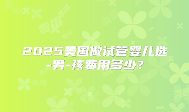 2025美国做试管婴儿选-男-孩费用多少？
