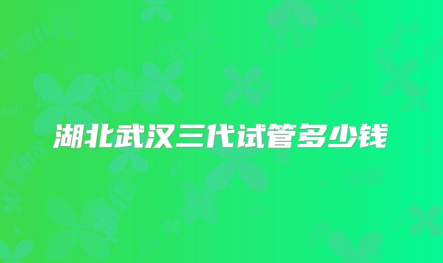 湖北武汉三代试管多少钱