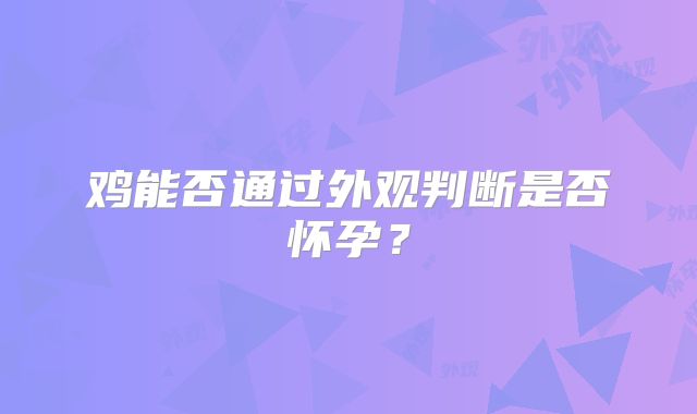 鸡能否通过外观判断是否怀孕？