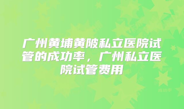 广州黄埔黄陂私立医院试管的成功率，广州私立医院试管费用