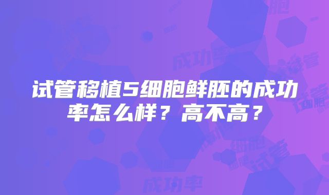 试管移植5细胞鲜胚的成功率怎么样？高不高？
