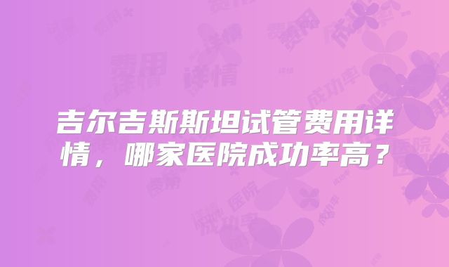 吉尔吉斯斯坦试管费用详情，哪家医院成功率高？