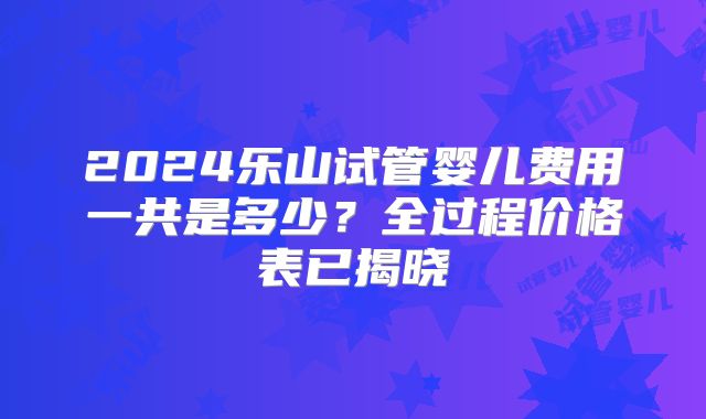 2024乐山试管婴儿费用一共是多少？全过程价格表已揭晓