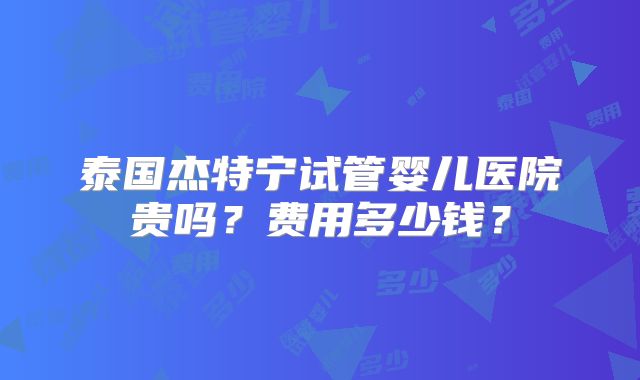 泰国杰特宁试管婴儿医院贵吗?费用多少钱?