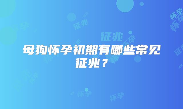 母狗怀孕初期有哪些常见征兆？