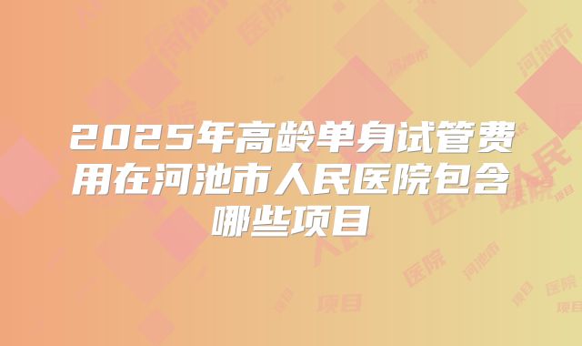 2025年高龄单身试管费用在河池市人民医院包含哪些项目