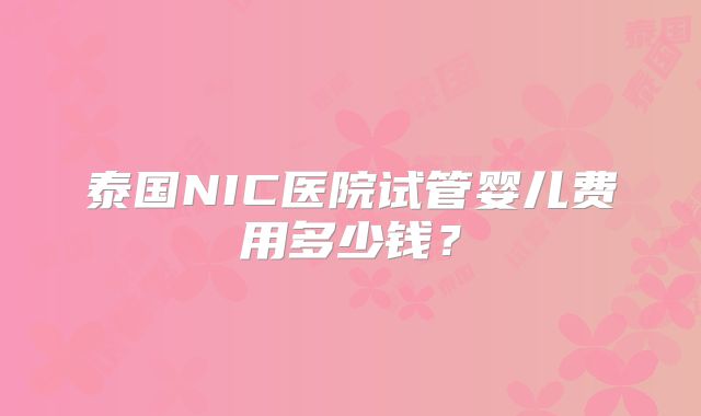 泰国NIC医院试管婴儿费用多少钱？