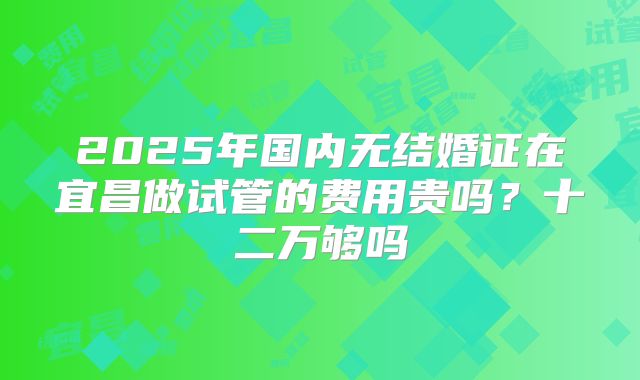 2025年国内无结婚证在宜昌做试管的费用贵吗?十二万够吗