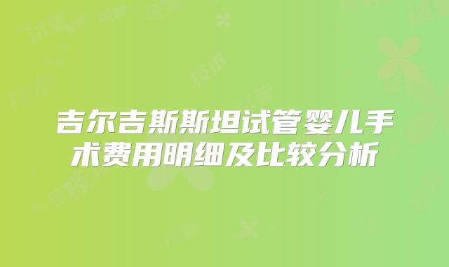 吉尔吉斯斯坦试管婴儿手术费用明细及比较分析