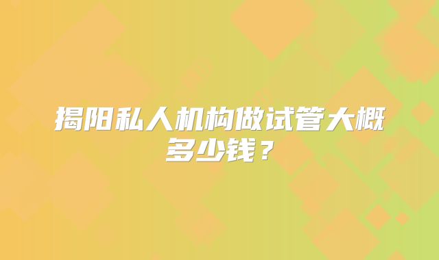 揭阳私人机构做试管大概多少钱?