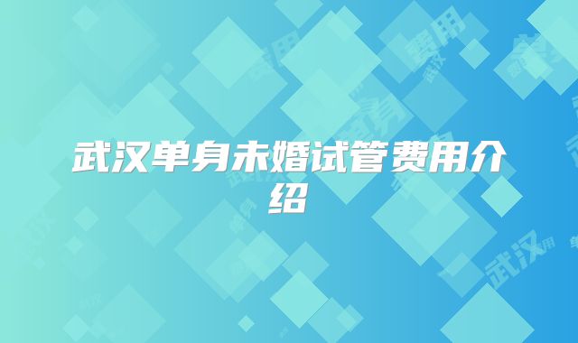 武汉单身未婚试管费用介绍