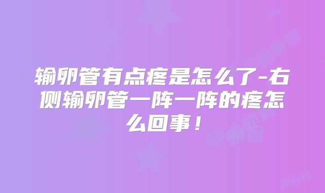 输卵管有点疼是怎么了-右侧输卵管一阵一阵的疼怎么回事!