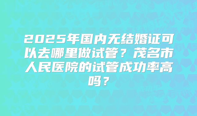 2025年国内无结婚证可以去哪里做试管？茂名市人民医院的试管成功率高吗？