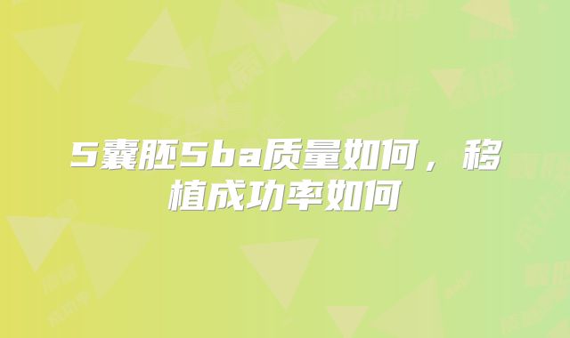5囊胚5ba质量如何，移植成功率如何