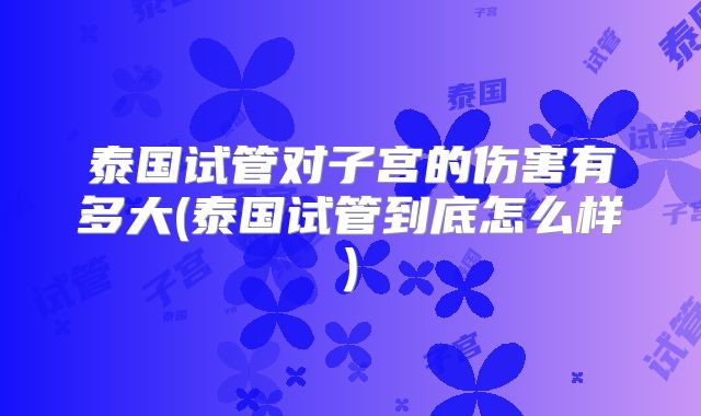 泰国试管对子宫的伤害有多大(泰国试管到底怎么样)