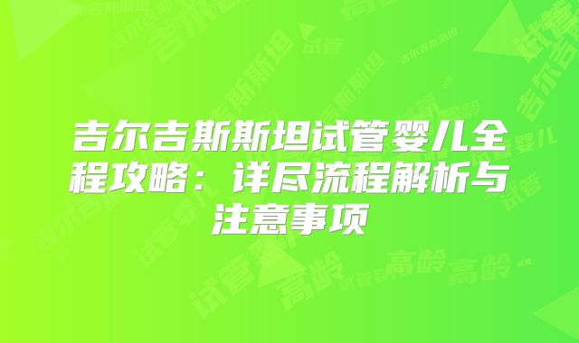吉尔吉斯斯坦试管婴儿全程攻略:详尽流程解析与注意事项