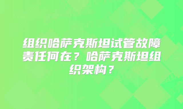 组织哈萨克斯坦试管故障责任何在？哈萨克斯坦组织架构？