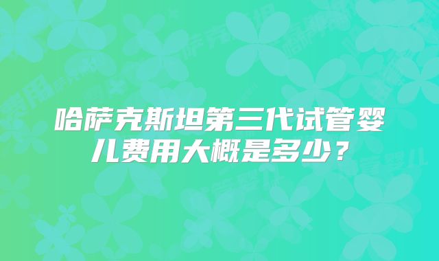 哈萨克斯坦第三代试管婴儿费用大概是多少？