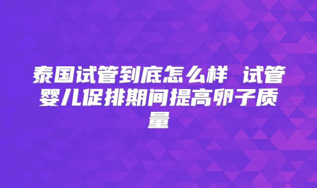 泰国试管到底怎么样 试管婴儿促排期间提高卵子质量