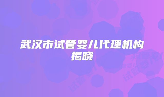 武汉市试管婴儿代理机构揭晓