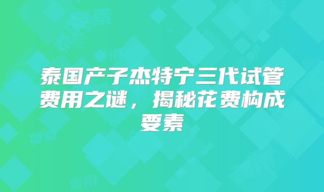 泰国产子杰特宁三代试管费用之谜，揭秘花费构成要素