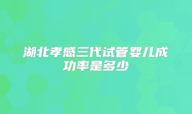 湖北孝感三代试管婴儿成功率是多少