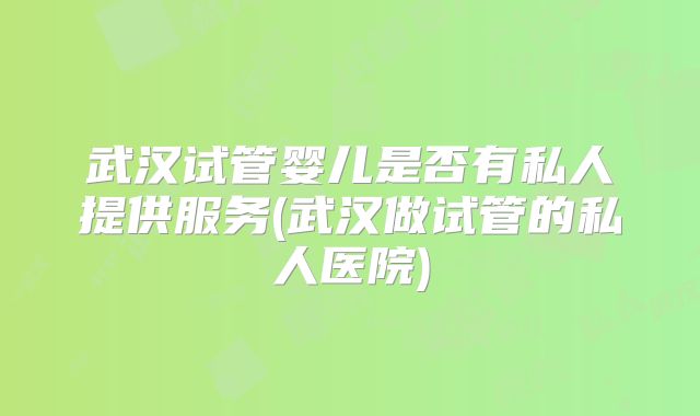 武汉试管婴儿是否有私人提供服务(武汉做试管的私人医院)