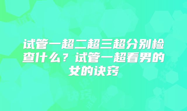 试管一超二超三超分别检查什么?试管一超看男的女的诀窍