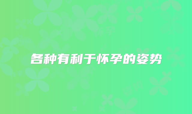 各种有利于怀孕的姿势