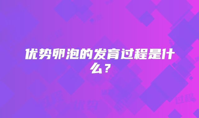 优势卵泡的发育过程是什么?