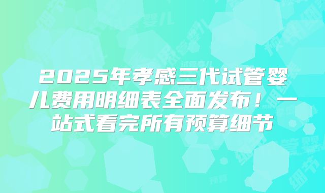 2025年孝感三代试管婴儿费用明细表全面发布！一站式看完所有预算细节