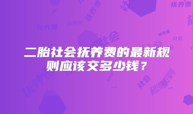 二胎社会抚养费的最新规则应该交多少钱？
