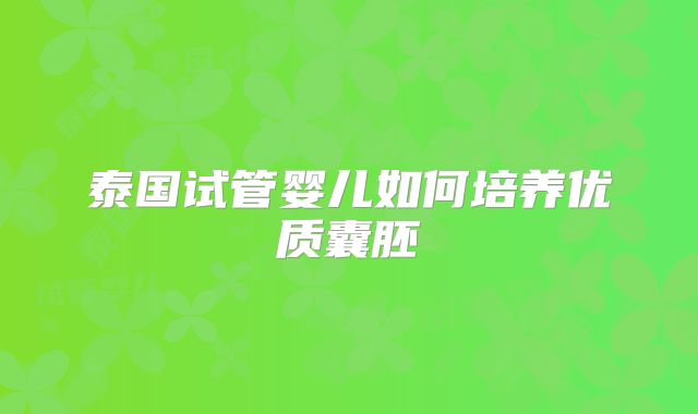 泰国试管婴儿如何培养优质囊胚