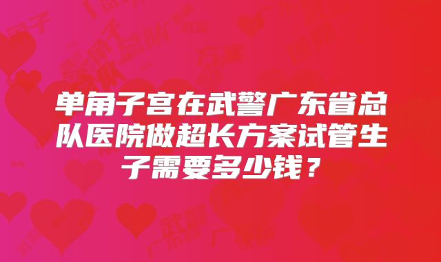 单角子宫在武警广东省总队医院做超长方案试管生子需要多少钱？