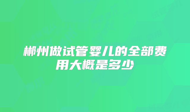 郴州做试管婴儿的全部费用大概是多少