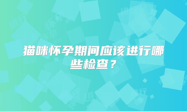 猫咪怀孕期间应该进行哪些检查?