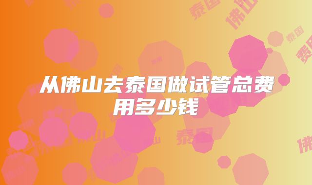 从佛山去泰国做试管总费用多少钱
