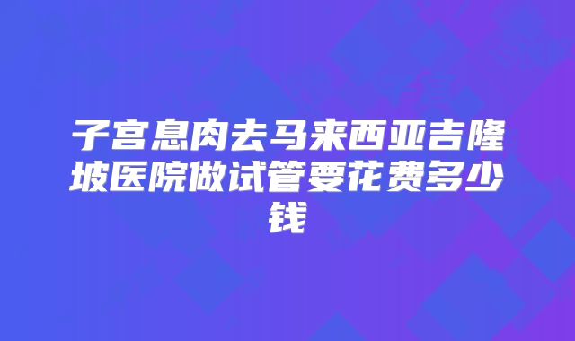 子宫息肉去马来西亚吉隆坡医院做试管要花费多少钱